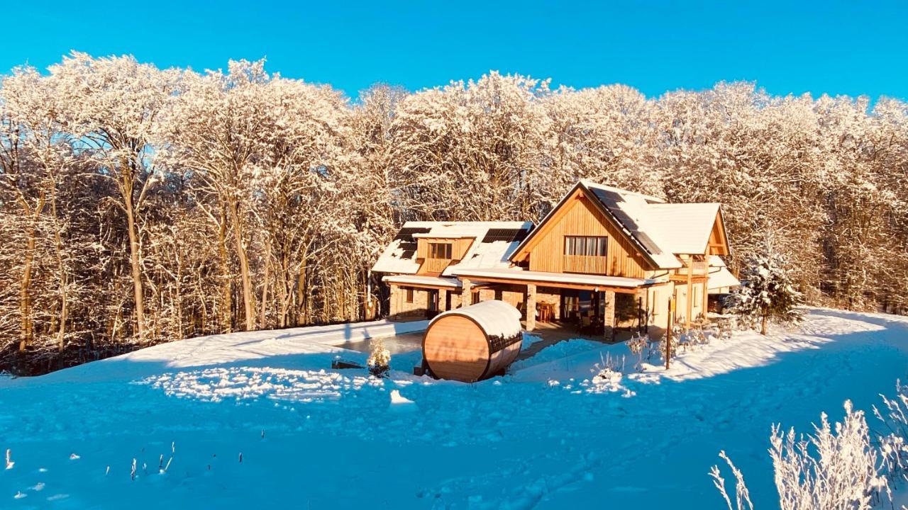 Landvilla Sinelia Premium Dietersdorf am Gnasbach المظهر الخارجي الصورة
